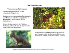 Eichhörnchen-Steckbrief-1-7.pdf